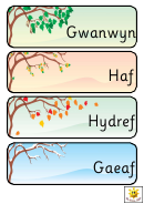 Four Seasons Word Cards Template - Regular, With Pictures Of Trees (cymraeg)