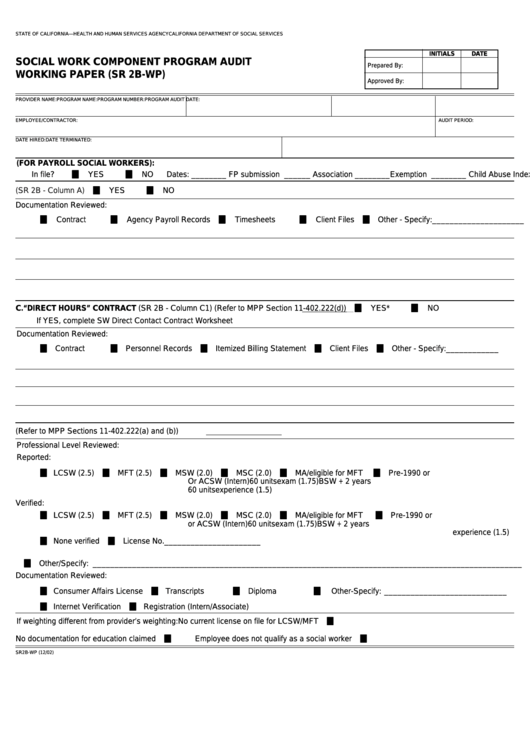 Fillable Form Sr 2b-Wp - Social Work Component Program Audit Working Paper Printable pdf