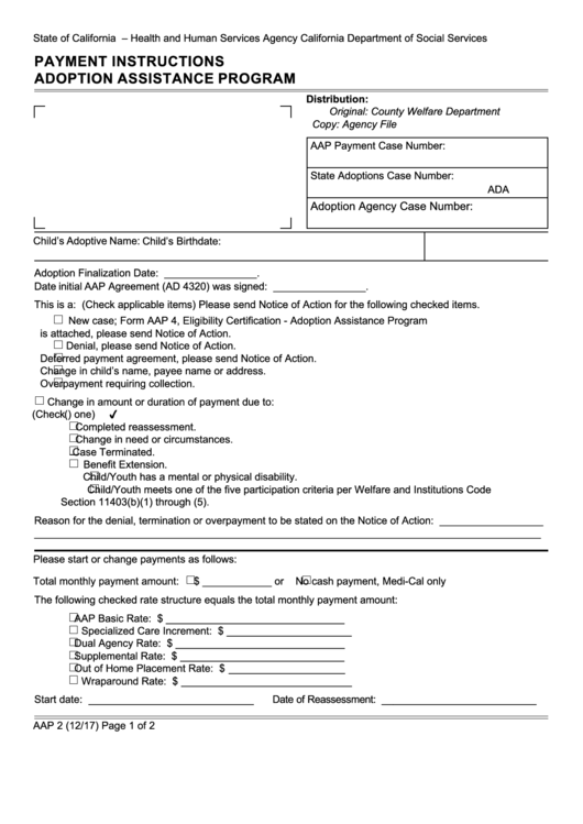 Form Aap 2 - Payment Instructions - Adoption Assistance Program Printable pdf