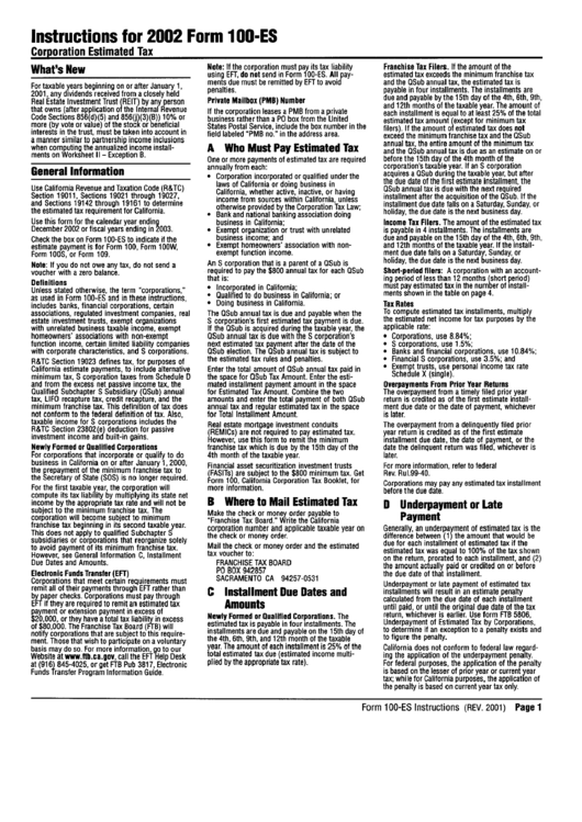 Instructions For 2002 Form 100-Es Printable pdf