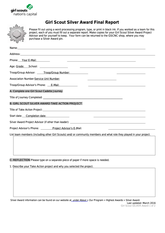 Fillable Girl Scout Silver Award Final Report Form Printable pdf