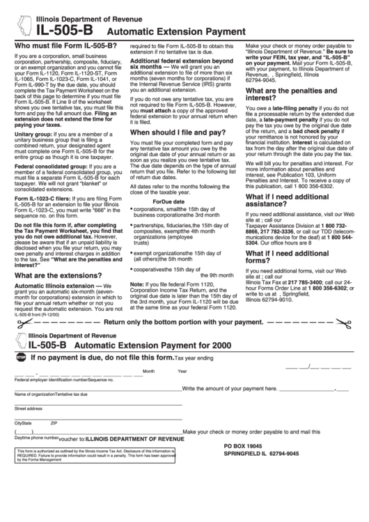 Form Il 505 B Automatic Extension Payment 2000 Printable Pdf Download 8533