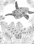 Turtle Hard Coloring Sheet
