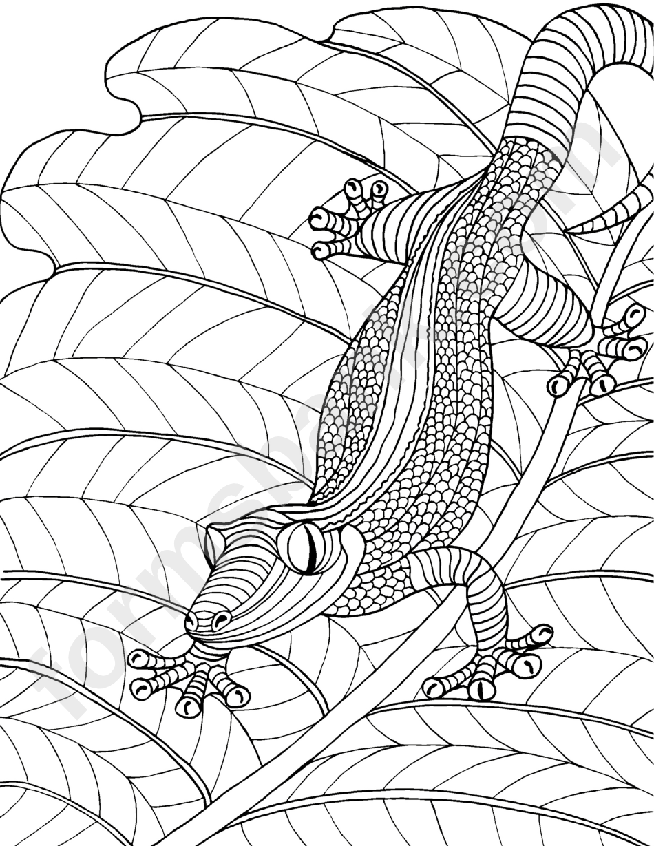 Lizard Hard Coloring Sheet