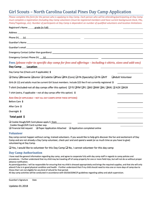 Day Camp Application And Financial Assistance Request Form Printable pdf