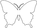 Butterfly Pattern Template