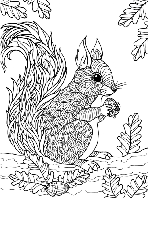 Squirrel Hard Coloring Sheet