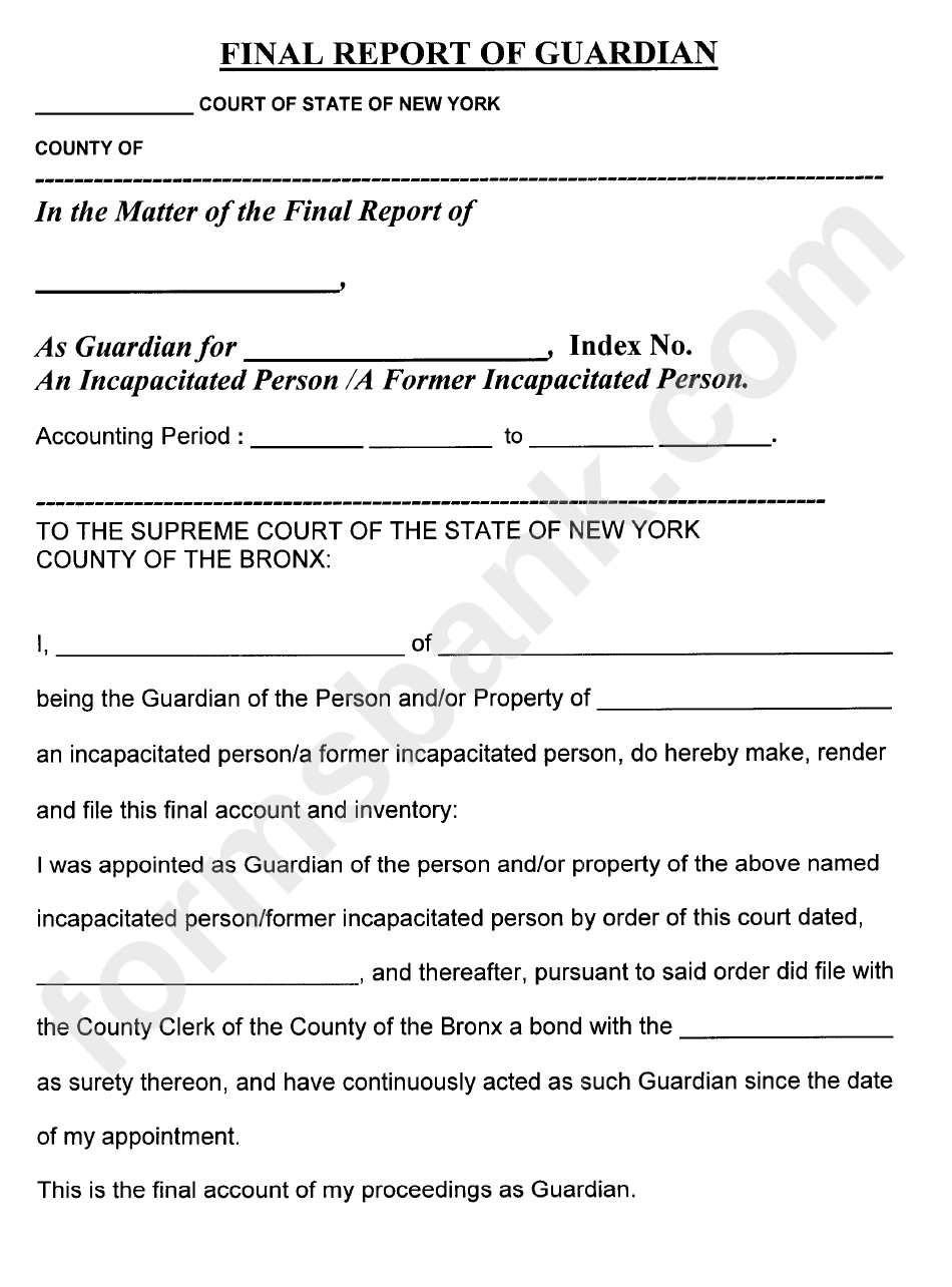 Final Report Of Guardian - New York Supreme Court