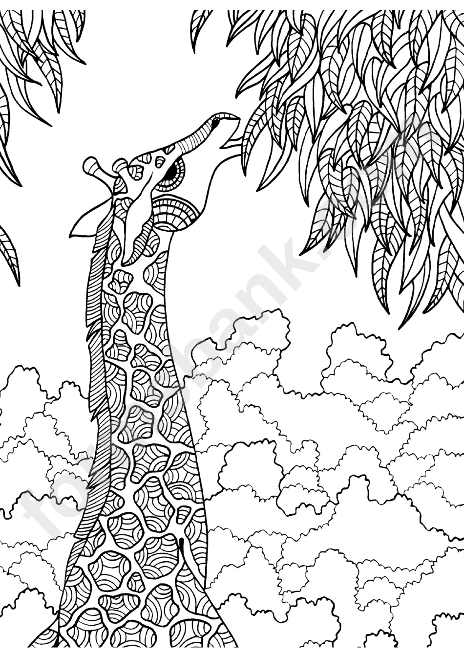 Giraffe In The Garden Coloring Sheet