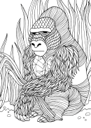 Monkey In The Forest Coloring Sheet
