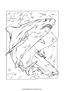 Shark Colouring Sheet