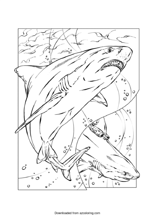 Shark Colouring Sheet Printable pdf