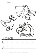 3 Birds Tracing Sheet