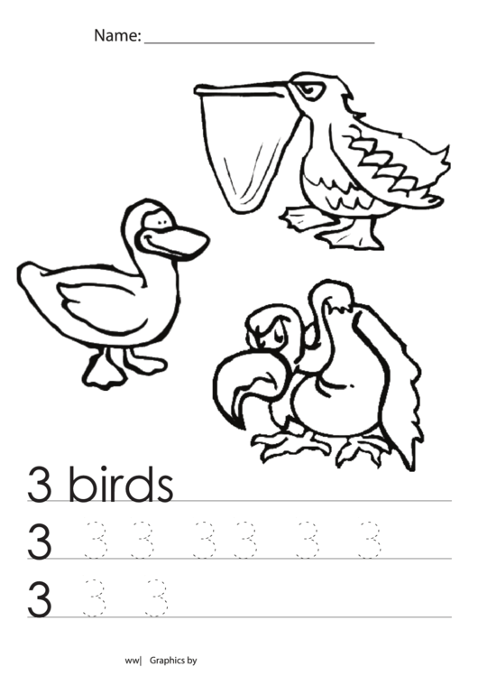 3 Birds Tracing Sheet Printable pdf