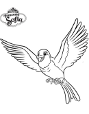 Sofia The First Robin Coloring Page