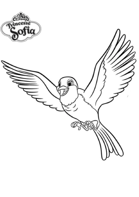 Sofia The First Robin Coloring Page Printable pdf