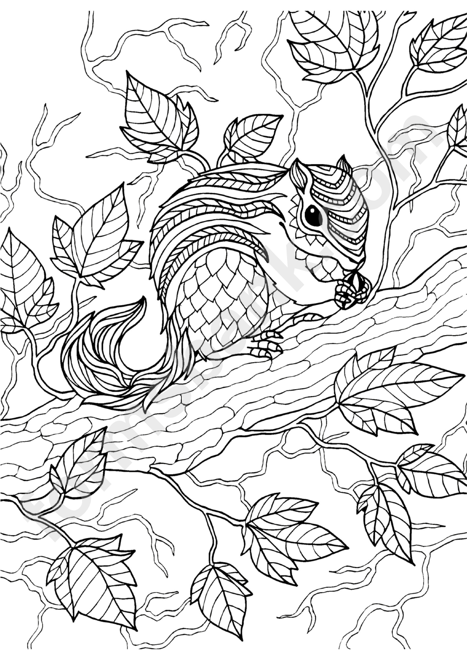 Squirrel Coloring Sheet