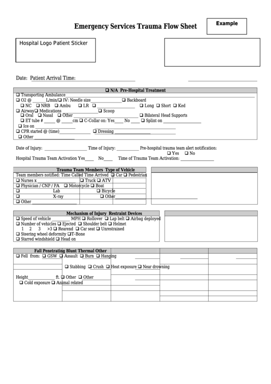 Emergency Services Trauma Flow Sheet Printable pdf