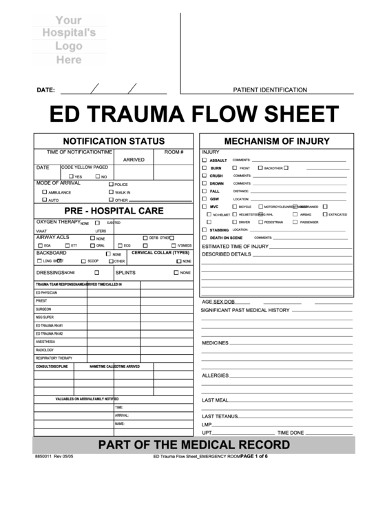 Ed Trauma Flow Sheet Printable pdf