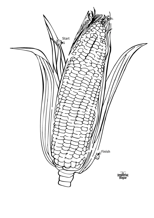 Corn Cob Maze Template
