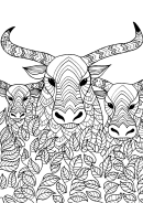 Three Bulls Adult Coloring Sheets