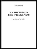 Wandering In The Wilderness Bible Activity Sheet Set