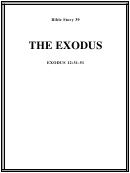 The Exodus Bible Activity Sheet Set