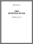 The Burning Bush Bible Activity Sheet Set