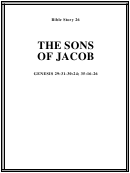 The Sons Of Jacob Bible Activity Sheet Set