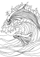 Dolphin Coloring Sheet