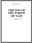 The Son Of The Widow Of Nain Bible Activity Sheet Set Printable pdf