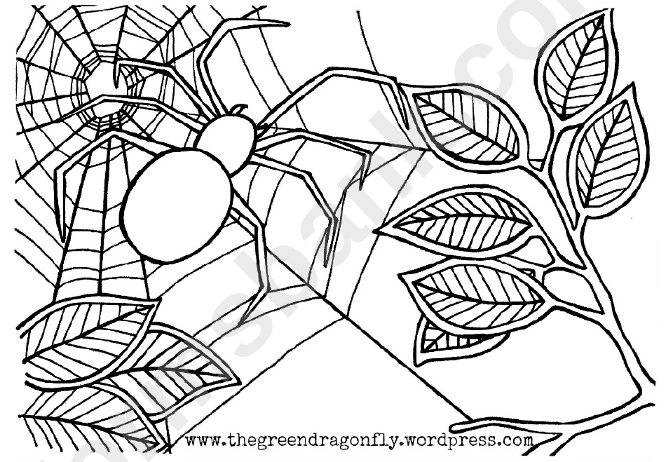 Spider Web Coloring Sheet