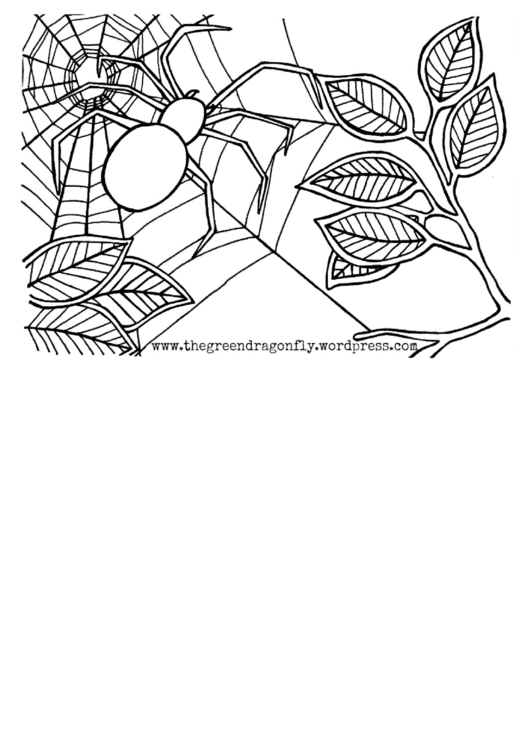 Spider Web Coloring Sheet