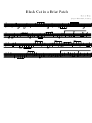 Melvin Wine - Black Cat In A Briar Patch Sheet Music - Erynn Marshall, Calico