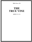 The True Vine Bible Activity Sheets