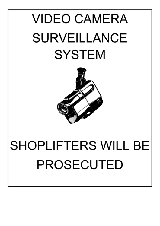 Video Camera Surveillance System Printable pdf