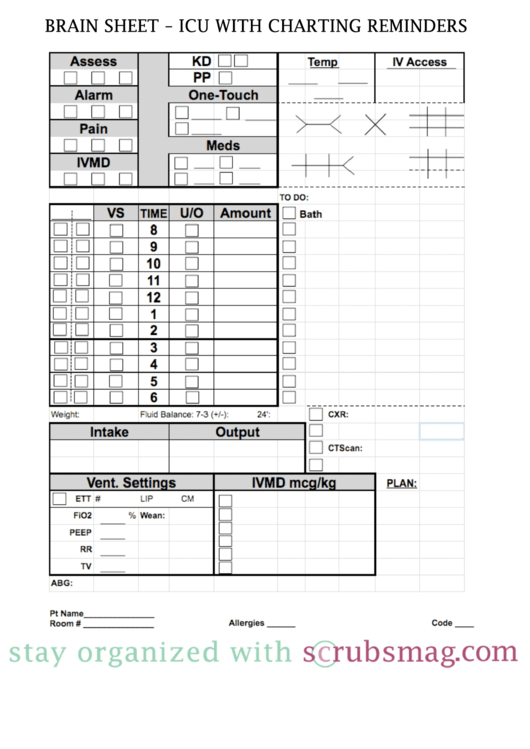 Brain Sheet Icu With Charting Reminders Printable pdf