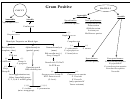 Gram Positive/negative Chart
