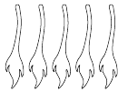 Donkey Tail Pattern Template