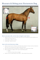 Measure & Fitting Your Horseware Rug Size Chart