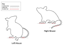 Left And Right Mouse Templates