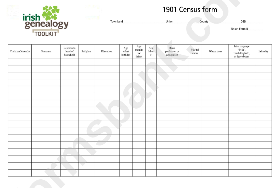 Census Form - Irish Genealogy, 1901