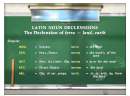 The Declension Of The Latin Noun 