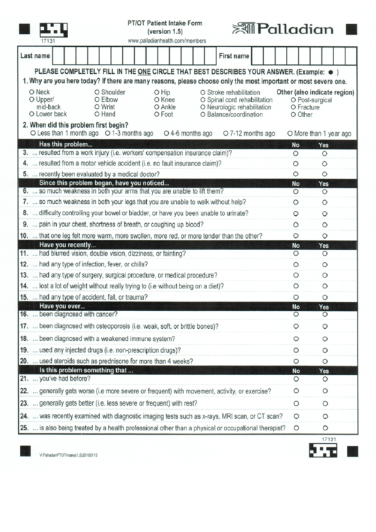 Pt/ot Patient Intake Form Printable pdf