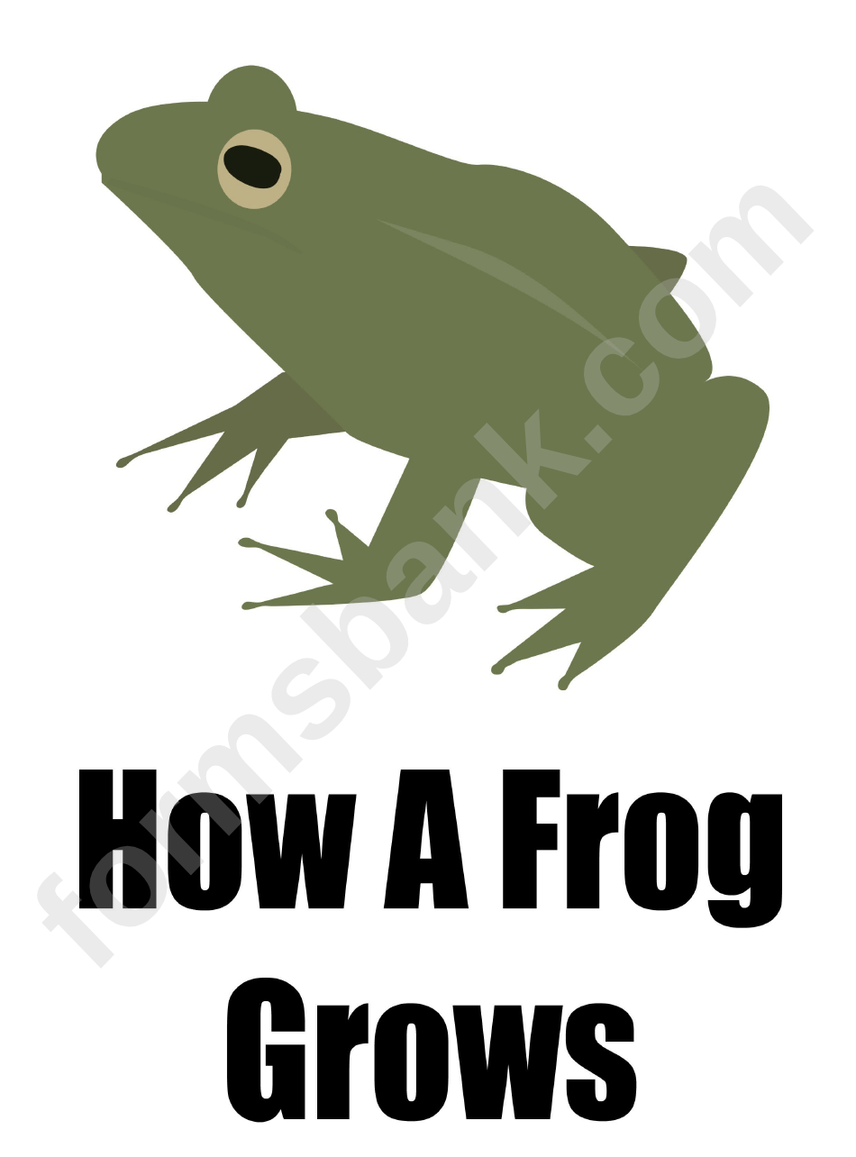 How A Frog Grows Poster Template