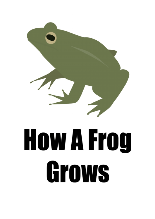 How A Frog Grows Poster Template Printable pdf