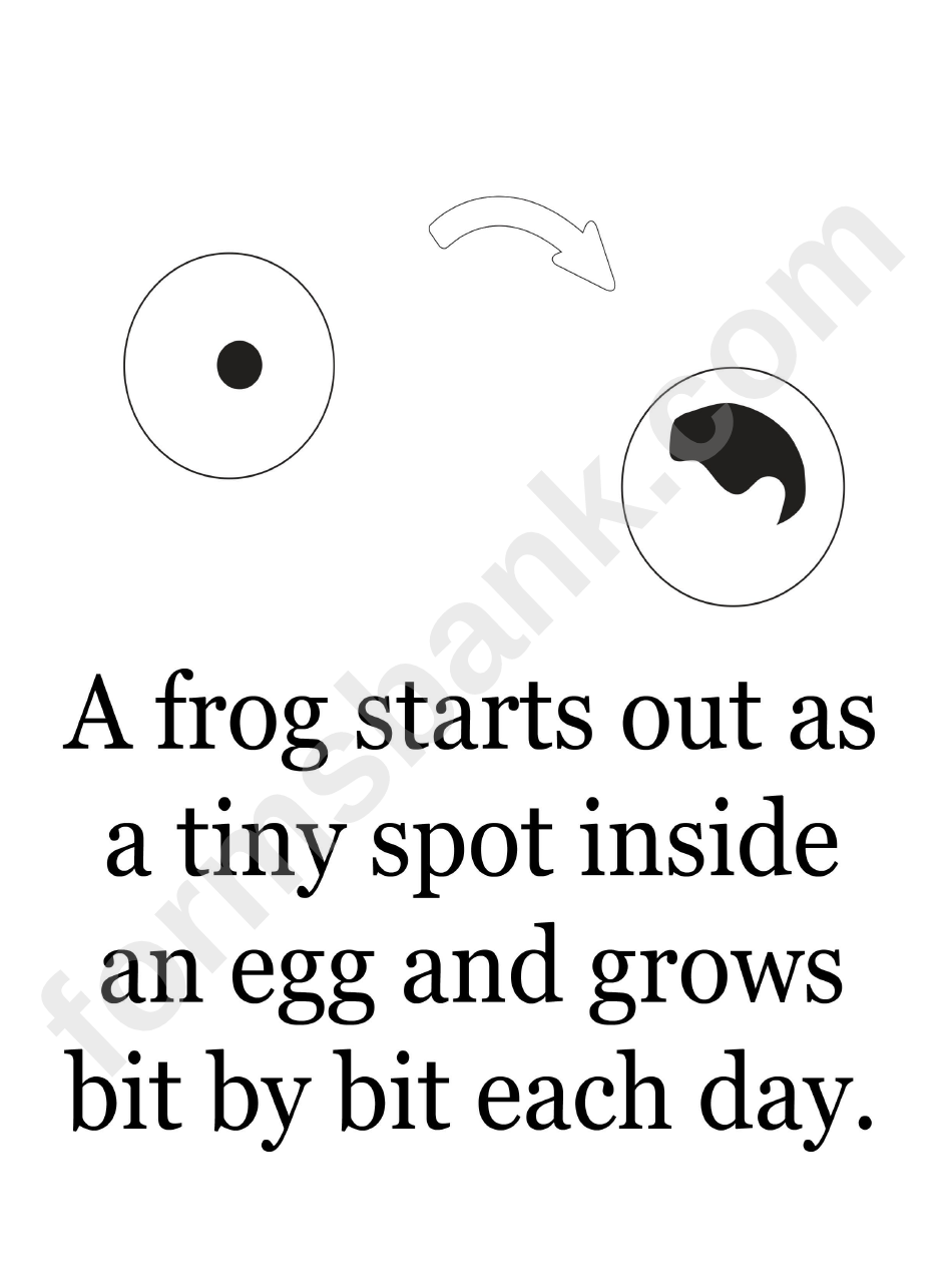 How A Frog Grows Poster Template