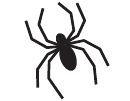 Spider Stencil Template
