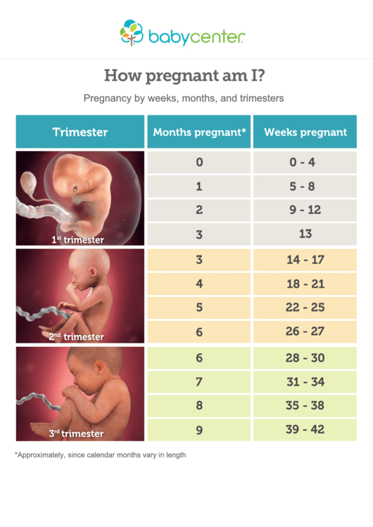 Pregnancy Month, Weeks And Trimester Chart