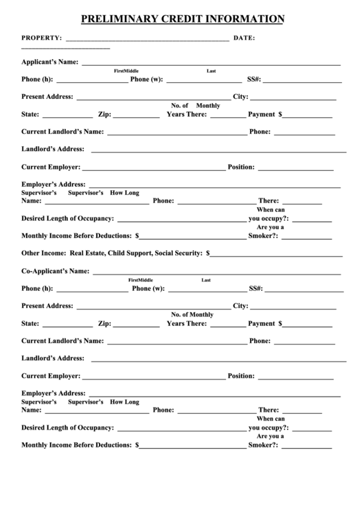 Preliminary Credit Information Template printable pdf download